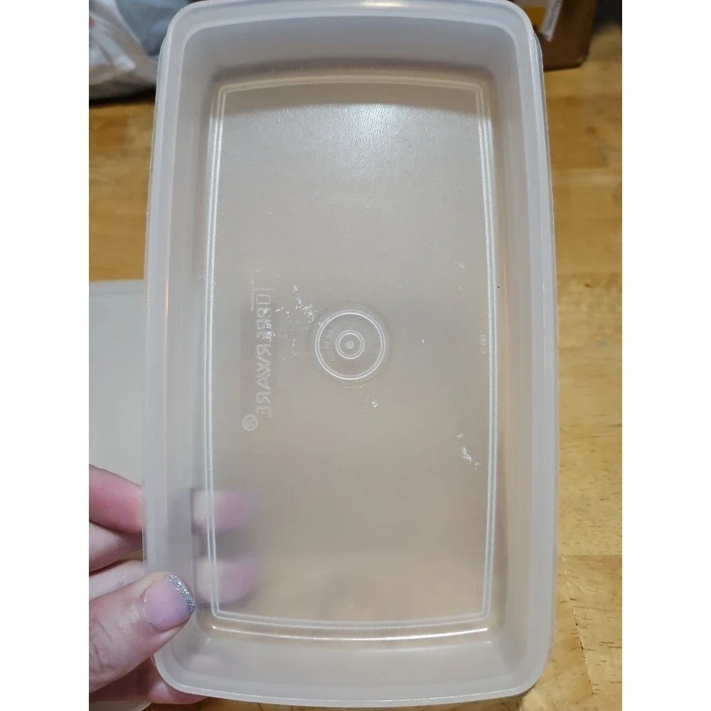 Vintage Tupperware Deli Meat Cheese Keeper Sheer 816 W/ Sheer Lid 817
